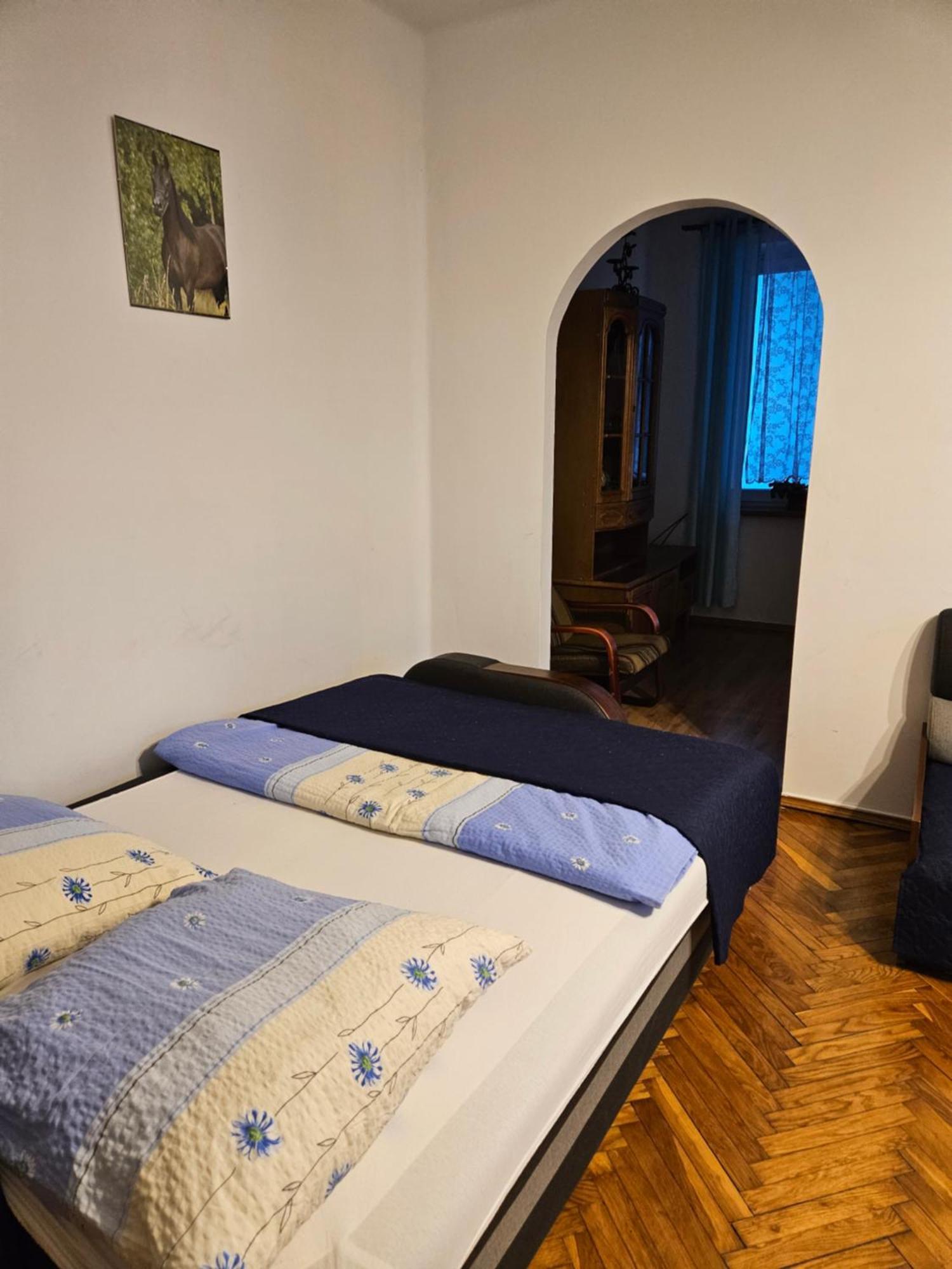 Apartament Providentia Zakopane Witkiewicza 3 Экстерьер фото